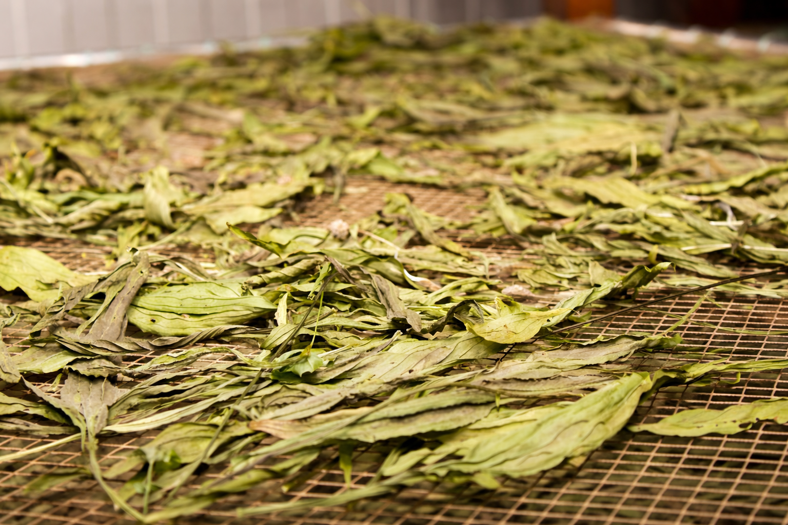 Production process photo 2